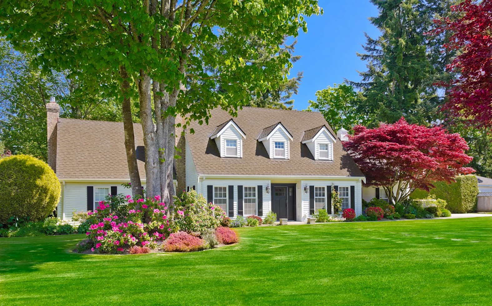 Want to Save $1000s on Your Mortgage
